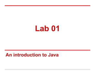 Java Lab | PDF