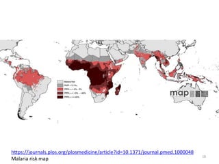 https://journals.plos.org/plosmedicine/article?id=10.1371/journal.pmed.1000048
Malaria risk map
18
 