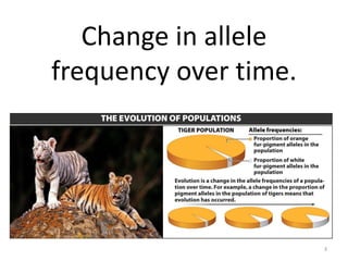 Change in allele
frequency over time.
3
 