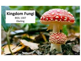 Kingdom Fungi
BIOL 1307
Ebeling
 