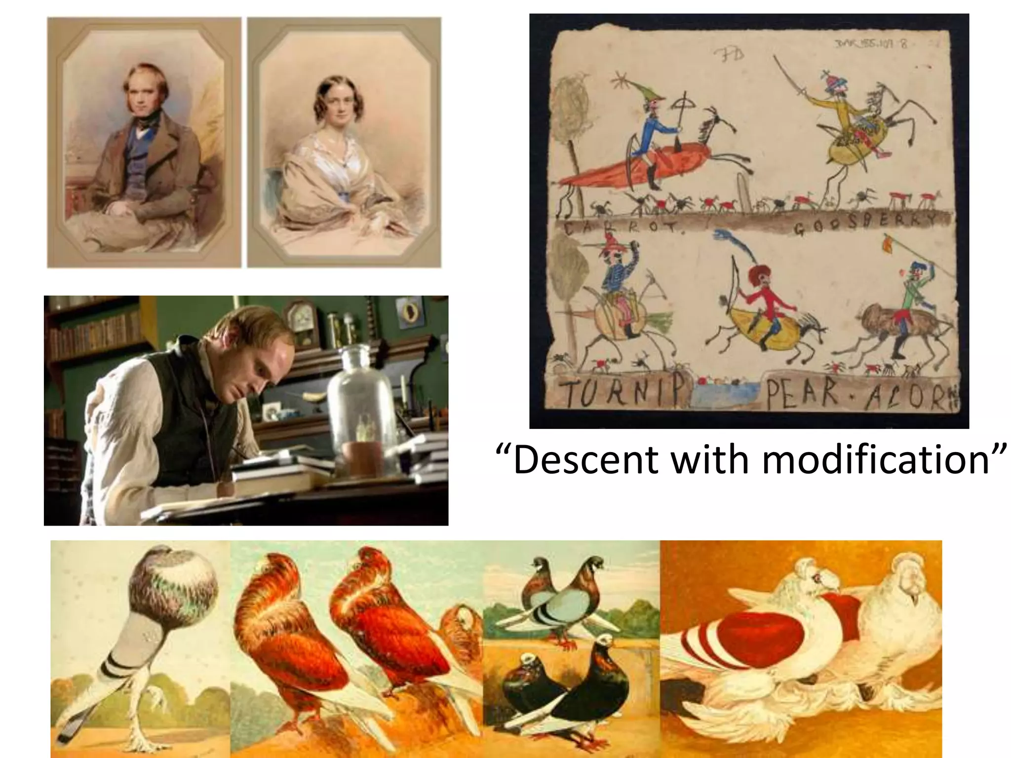 “Descent with modification”
 