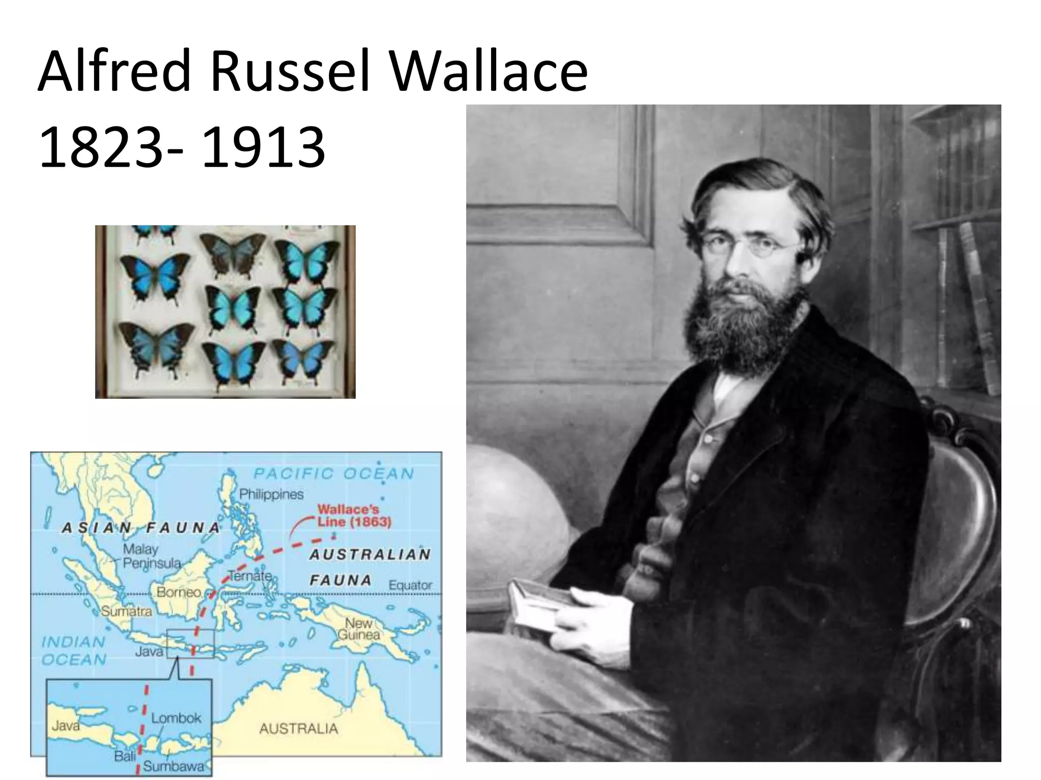 Alfred Russel Wallace
1823- 1913
 