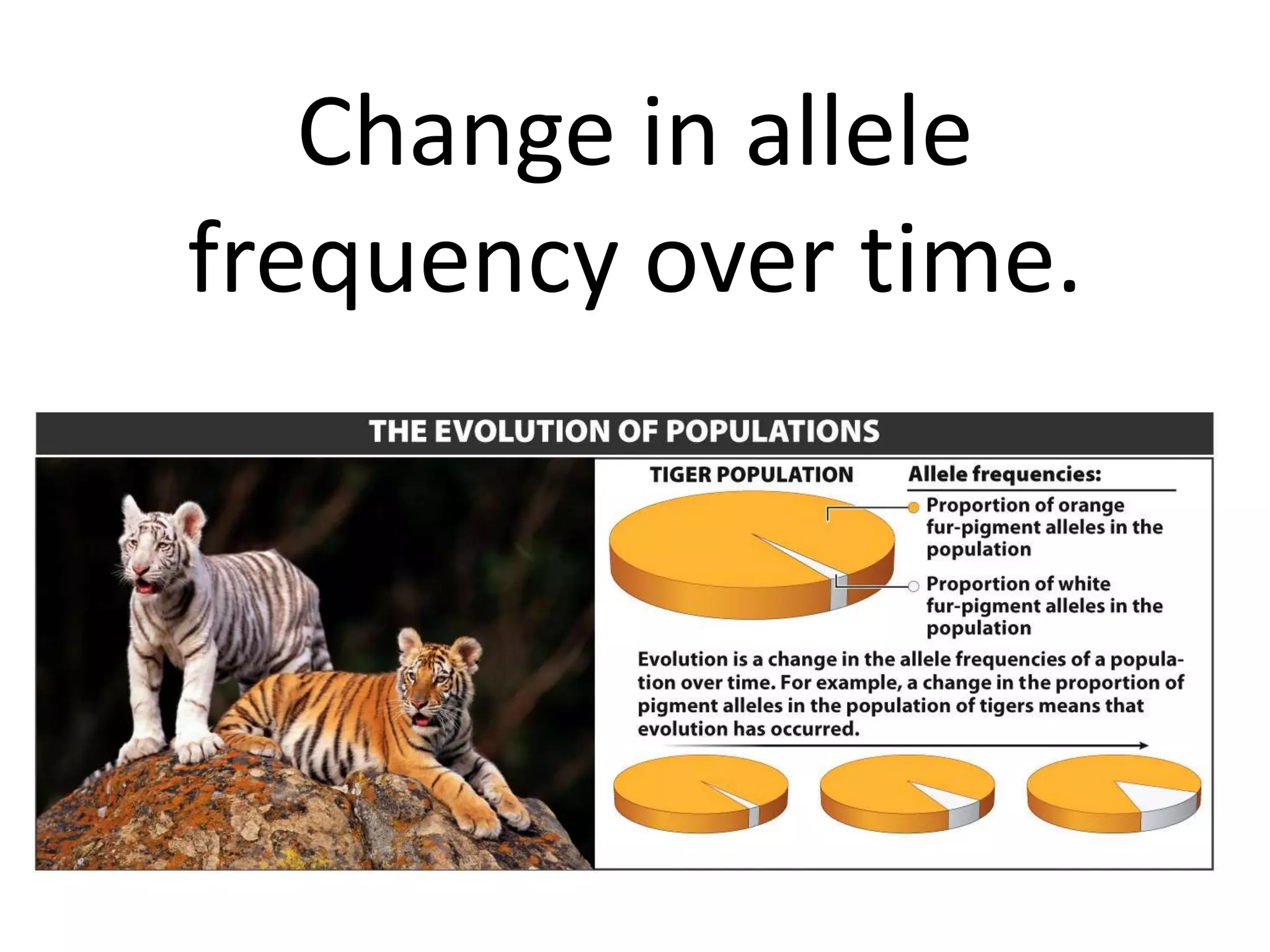 Change in allele
frequency over time.
 