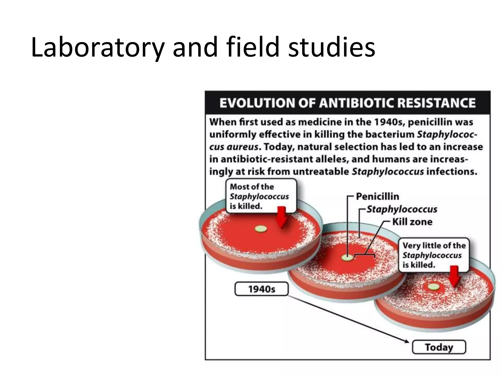 Laboratory and field studies
 