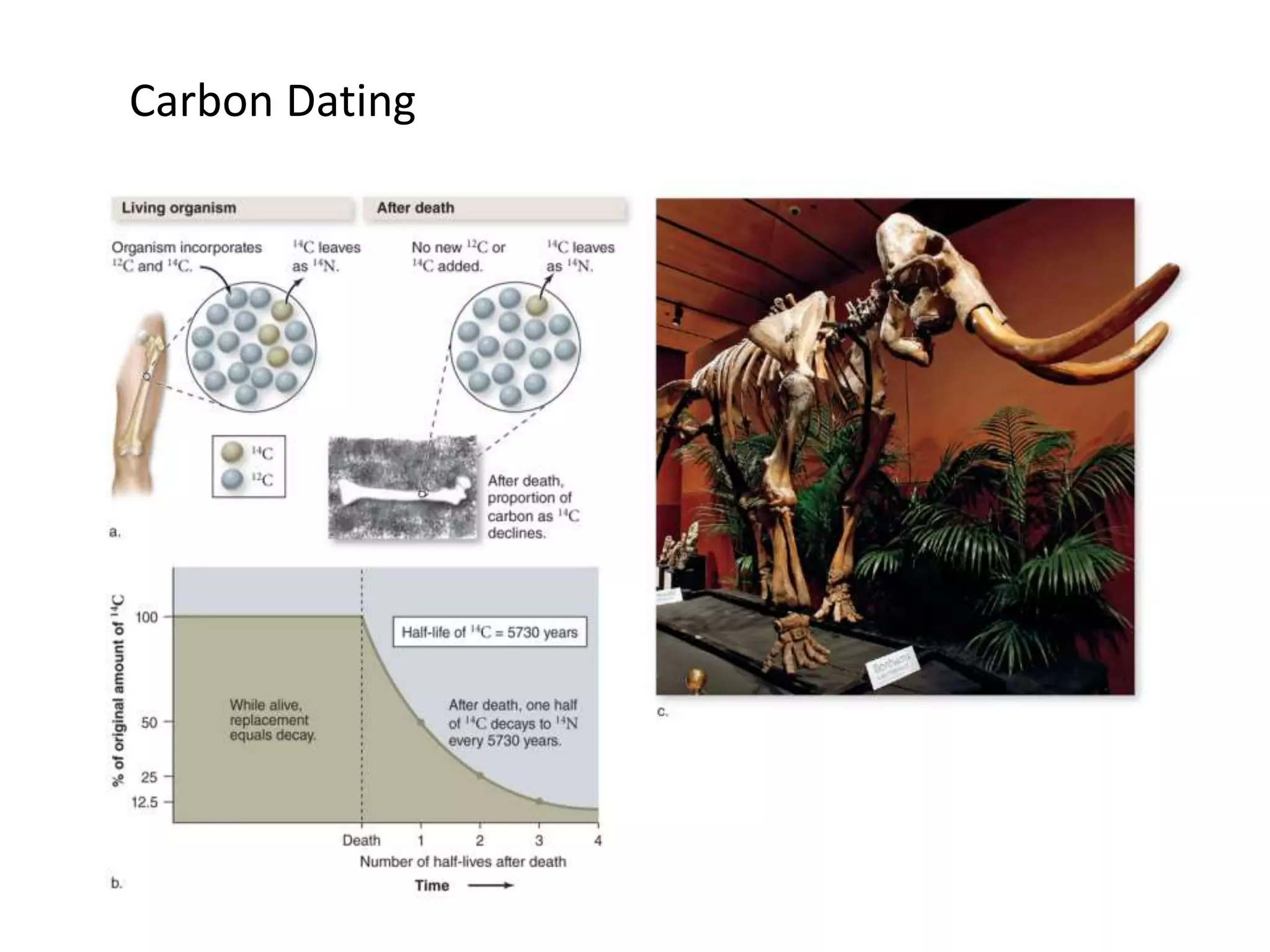 Carbon Dating
 