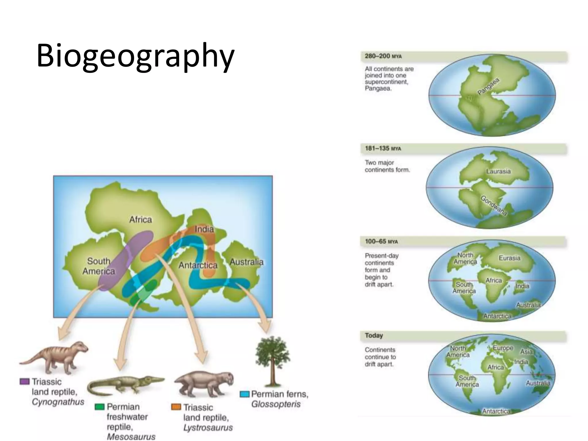 Biogeography
 