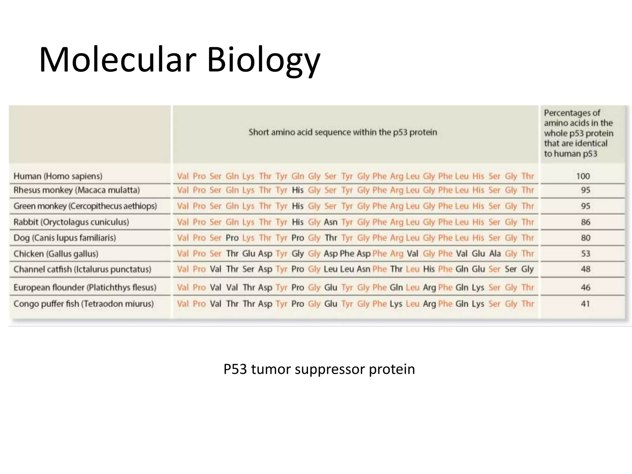 Molecular Biology
P53 tumor suppressor protein
 