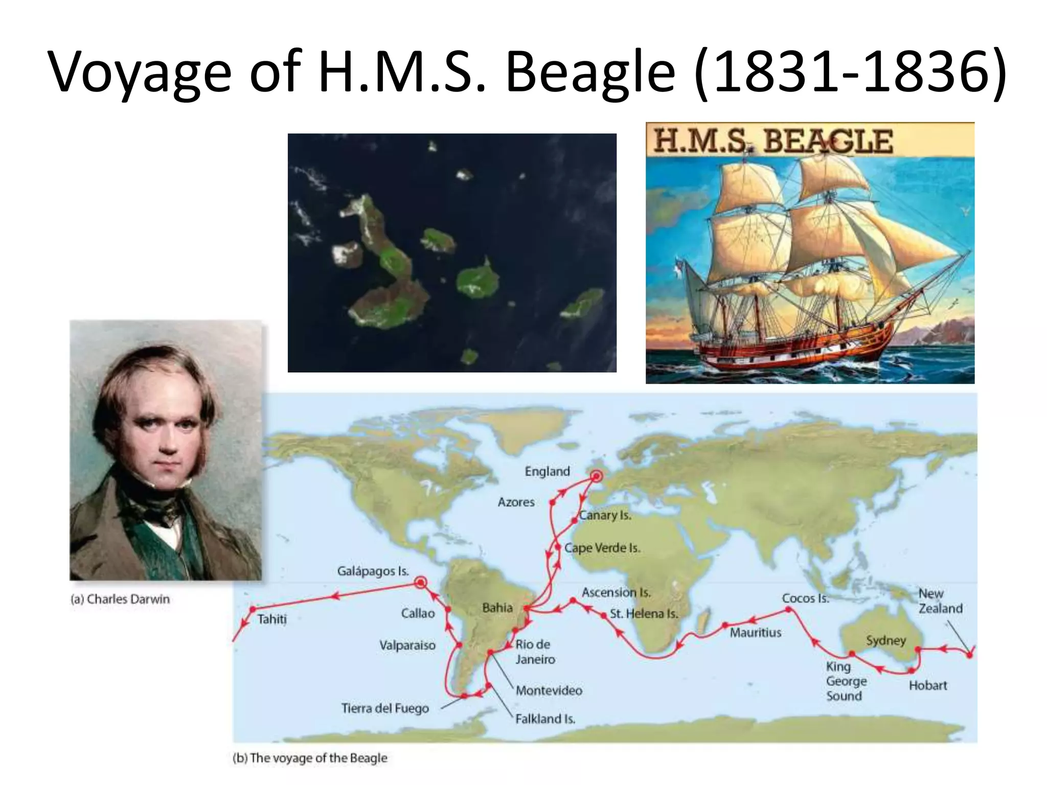 Voyage of H.M.S. Beagle (1831-1836)
 