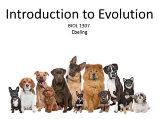 Introduction to Evolution
BIOL 1307
Ebeling
 