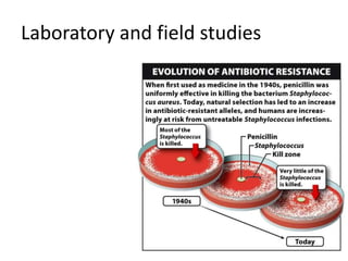 Laboratory and field studies
 