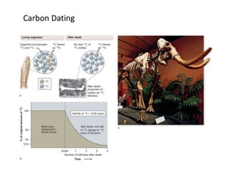 Carbon Dating
 