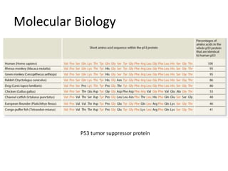 Molecular Biology
P53 tumor suppressor protein
 