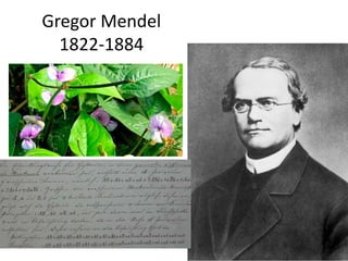 Gregor Mendel
1822-1884
 