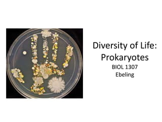 Diversity of Life:
Prokaryotes
BIOL 1307
Ebeling
 