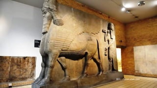 DƬ - forum.xitek.com

 