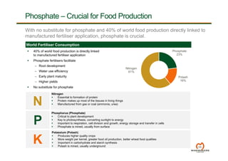World Fertiliser Consumption
24
Phosphate – Crucial for Food Production
With no substitute for phosphate and 40% of world food production directly linked to
manufactured fertiliser application, phosphate is crucial.
 40% of world food production is directly linked
to manufactured fertiliser application
 Phosphate fertilisers facilitate
– Root development
– Water use efficiency
– Early plant maturity
– Higher yields
 No substitute for phosphate
Phosphate
23%
Potash
16%
Nitrogen
61%
K
Nitrogen
 Essential to formation of protein
 Protein makes up most of the tissues in living things
 Manufactured from gas or coal (ammonia, urea)
Phosphorus (Phosphate)
 Critical to plant development
 Key to photosynthesis, converting sunlight to energy
 Important to respiration, cell division and growth, energy storage and transfer in cells
 Phosphate is mined, usually from surface
Potassium (Potash)
 Produces higher quality crops
 More weight per kernel, greater food oil production, better wheat food qualities
 Important in carbohydrate and starch synthesis
 Potash is mined, usually underground
N
 
