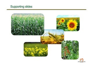 Supporting slides
31
 