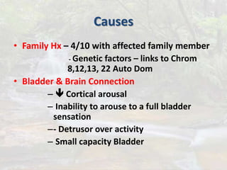 Causes
• Family Hx – 4/10 with affected family member
- Genetic factors – links to Chrom
8,12,13, 22 Auto Dom
• Bladder & Brain Connection
–  Cortical arousal
– Inability to arouse to a full bladder
sensation
–- Detrusor over activity
– Small capacity Bladder
 