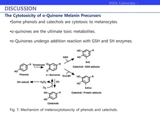 INHA University -
Bioengineering
DISCUSSION
The Cytotoxicity of o-Quinone Melanin Precursors
•Some phenols and catechols are cytotoxic to melanocytes.
•o-quinones are the ultimate toxic metabolites.
•o-Quinones undergo addition reaction with GSH and SH enzymes.
Fig. 7. Mechanism of melanocytotoxicity of phenols and catechols.
 