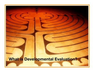 What is Developmental Evaluation?
 