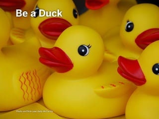 Be a Duck
Photo via Flickr user Kelly McCarthy
 