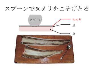 スプーンでヌメリをこそげとるぬめりスプーン皮身