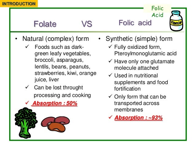 What Foods Have Folic Acid For Pregnancy What Foods Have Folic Acid For Pregnancy
