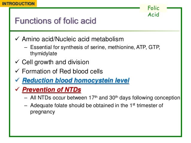 What Foods Have Folic Acid What Foods Have Folic Acid