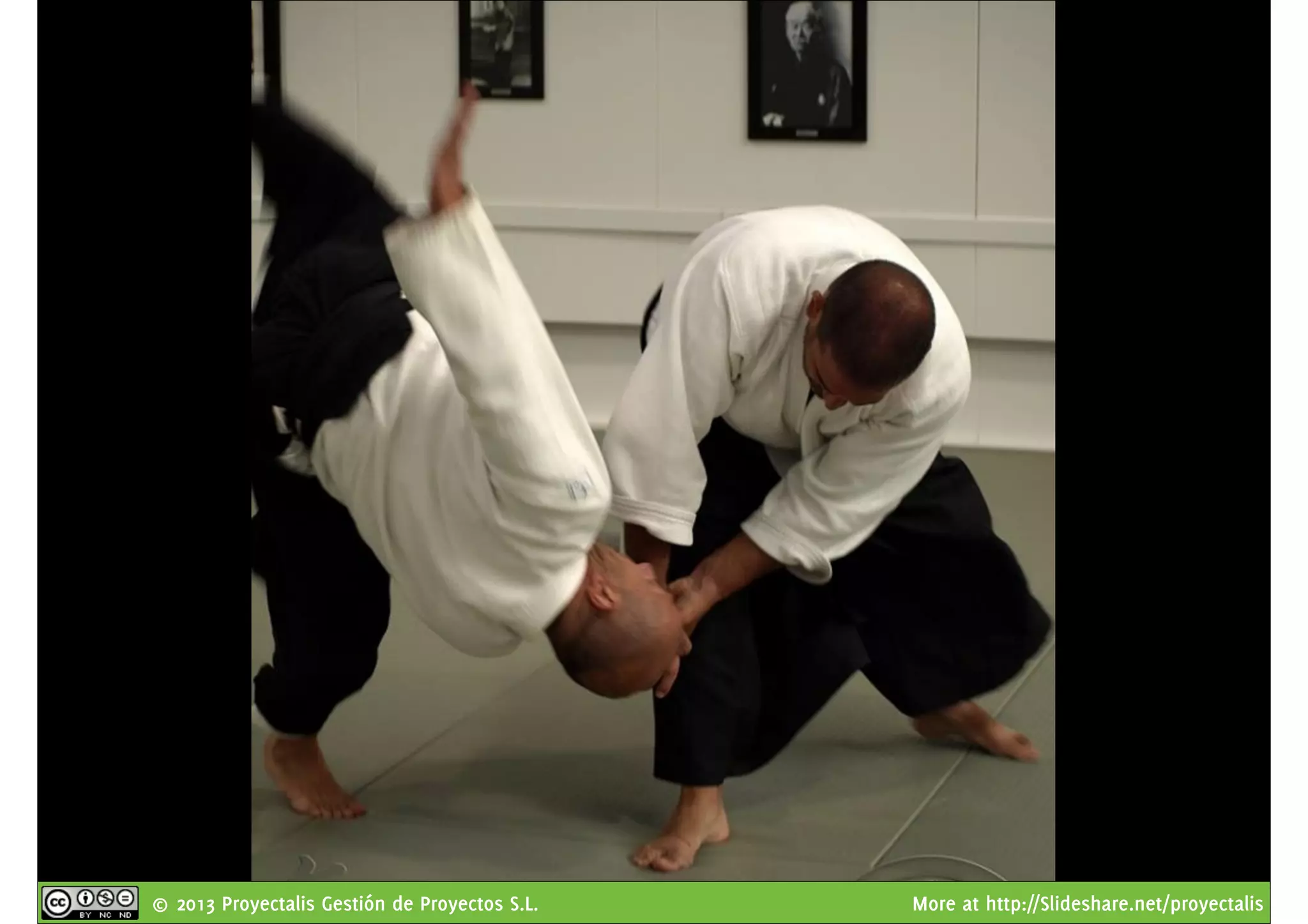 © 2013 Proyectalis Gestión de Proyectos S.L. More at http://Slideshare.net/proyectalis
 