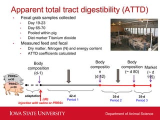 Picture of Dr. Nick Gabler - The impact of PRRSV on feed efficiency, digestibility ...