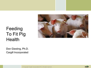 Feeding
To Fit Pig
Health
Don Giesting, Ph.D.
Cargill Incorporated

.
© Copyright Cargill, Incorporated 2013. All rights reserved.

 