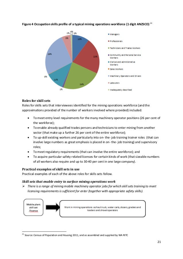130918 ps ritc skills sets final report september 2013