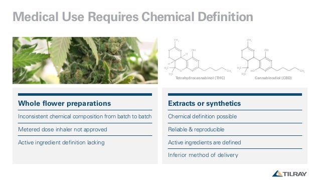 cannabis science policy summit day 2 jacobson