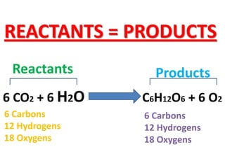 REACTANTS = PRODUCTS
 Reactants        Products
6 CO2 + 6 H2O   C6H12O6 + 6 O2
6 Carbons       6 Carbons
12 Hydrogens    12 Hydrogens
18 Oxygens      18 Oxygens
 