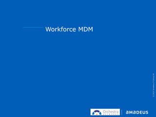 ©2013AmadeusITGroupSA
Workforce MDM
 