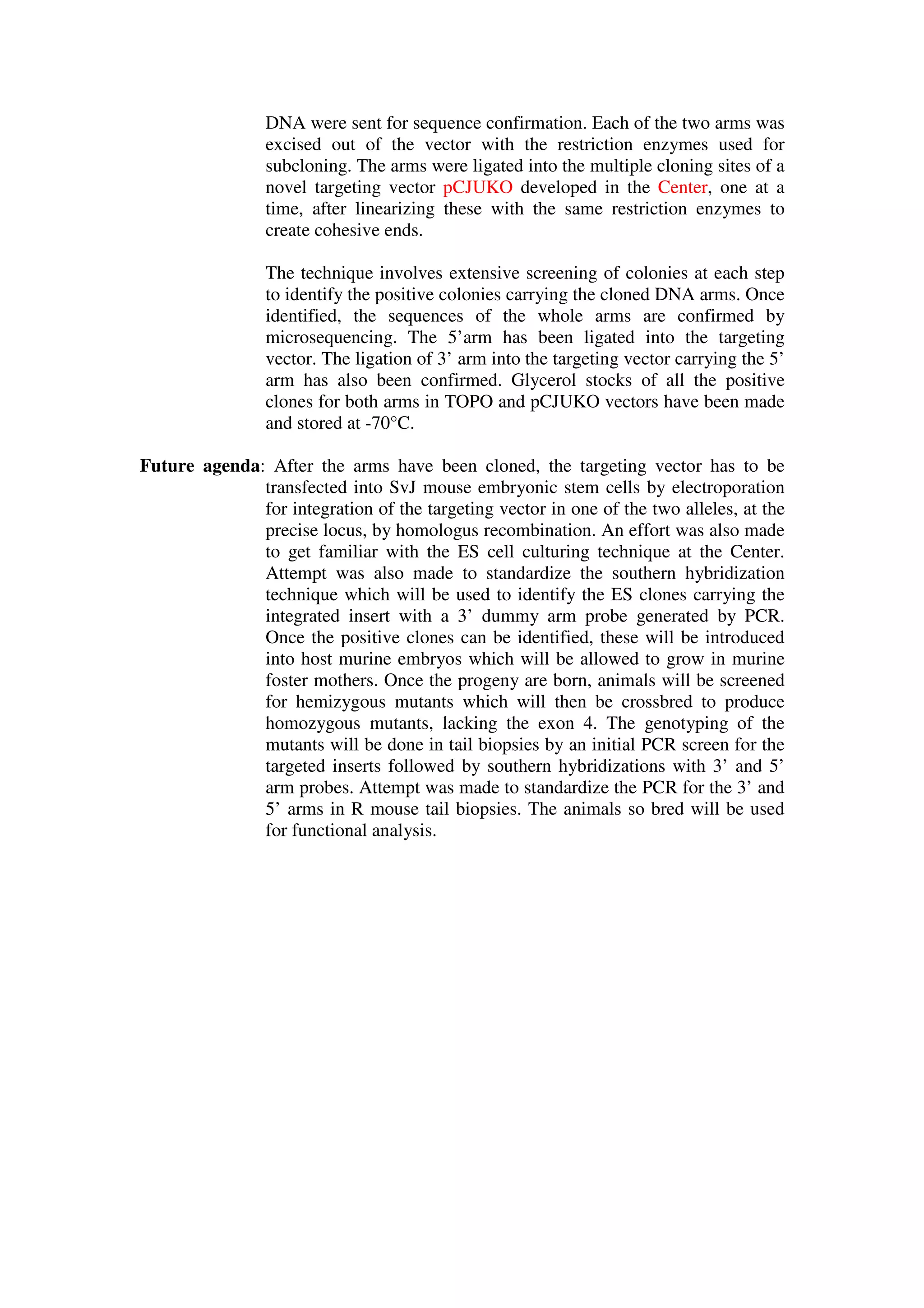 DNA were sent for sequence confirmation. Each of the two arms was
excised out of the vector with the restriction enzymes used for
subcloning. The arms were ligated into the multiple cloning sites of a
novel targeting vector pCJUKO developed in the Center, one at a
time, after linearizing these with the same restriction enzymes to
create cohesive ends.
The technique involves extensive screening of colonies at each step
to identify the positive colonies carrying the cloned DNA arms. Once
identified, the sequences of the whole arms are confirmed by
microsequencing. The 5’arm has been ligated into the targeting
vector. The ligation of 3’ arm into the targeting vector carrying the 5’
arm has also been confirmed. Glycerol stocks of all the positive
clones for both arms in TOPO and pCJUKO vectors have been made
and stored at -70°C.
Future agenda: After the arms have been cloned, the targeting vector has to be
transfected into SvJ mouse embryonic stem cells by electroporation
for integration of the targeting vector in one of the two alleles, at the
precise locus, by homologus recombination. An effort was also made
to get familiar with the ES cell culturing technique at the Center.
Attempt was also made to standardize the southern hybridization
technique which will be used to identify the ES clones carrying the
integrated insert with a 3’ dummy arm probe generated by PCR.
Once the positive clones can be identified, these will be introduced
into host murine embryos which will be allowed to grow in murine
foster mothers. Once the progeny are born, animals will be screened
for hemizygous mutants which will then be crossbred to produce
homozygous mutants, lacking the exon 4. The genotyping of the
mutants will be done in tail biopsies by an initial PCR screen for the
targeted inserts followed by southern hybridizations with 3’ and 5’
arm probes. Attempt was made to standardize the PCR for the 3’ and
5’ arms in R mouse tail biopsies. The animals so bred will be used
for functional analysis.
 