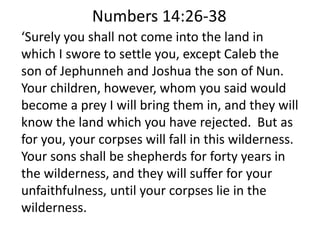 ‘Surely you shall not come into the land in
which I swore to settle you, except Caleb the
son of Jephunneh and Joshua the son of Nun.
Your children, however, whom you said would
become a prey I will bring them in, and they will
know the land which you have rejected. But as
for you, your corpses will fall in this wilderness.
Your sons shall be shepherds for forty years in
the wilderness, and they will suffer for your
unfaithfulness, until your corpses lie in the
wilderness.
Numbers 14:26-38
 