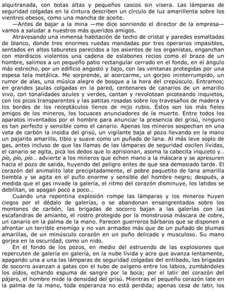 alquitranada,	 con	 botas	 altas	 y	 pequeños	 cascos	 sin	 visera.	 Las	 lámparas	 de
seguridad	colgadas	en	la	cintura	describen	un	círculo	de	luz	amarillenta	sobre	los
vientres	obesos,	como	una	mancha	de	aceite.
—Antes	de	bajar	a	la	mina	—me	dice	sonriendo	el	director	de	la	empresa—
vamos	a	saludar	a	nuestros	más	queridos	amigos.
Atravesando	una	inmensa	habitación	de	techo	de	cristal	y	paredes	esmaltadas
de	 blanco,	 donde	 tres	 enormes	 ruedas	 mandadas	 por	 tres	 operarios	 impasibles,
sentados	en	altos	taburetes	parecidos	a	los	asientos	de	los	organistas,	enganchan
con	 mordiscos	 violentos	 una	 cadena	 de	 eslabones	 recios	 como	 el	 brazo	 de	 un
hombre,	salimos	a	un	pequeño	patio	rectangular	cerrado	en	el	fondo,	en	el	ángulo
más	estrecho,	por	un	edificio	angosto	y	bajo,	con	las	ventanas	protegidas	por	una
espesa	tela	metálica.	Me	sorprende,	al	acercarme,	un	gorjeo	ininterrumpido,	un
rumor	de	alas,	una	música	alegre	de	bosque	a	la	hora	del	crepúsculo.	Entramos;
en	 grandes	 jaulas	 colgadas	 en	 la	 pared,	 centenares	 de	 canarios	 de	 un	 amarillo
vivo,	con	tonalidades	azules	y	verdes,	cantan	y	revolotean	picoteando	inquietos,
con	los	picos	transparentes	y	las	patitas	rosadas	sobre	los	travesaños	de	madera	y
los	 bordes	 de	 los	 receptáculos	 llenos	 de	 mijo	 rubio.	 Éstos	 son	 los	 más	 fieles
amigos	de	los	mineros,	los	locuaces	anunciadores	de	la	muerte.	Entre	todos	los
aparatos	inventados	por	el	hombre	para	anunciar	la	presencia	del	grisú,	ninguno
es	tan	perfecto	y	sensible	como	el	canario.	Apenas	los	mineros	sospechan	en	una
veta	de	carbón	la	insidia	del	grisú,	un	vigilante	baja	al	pozo	llevando	en	la	mano
un	pajarito	amarillo,	tibio	y	suave	como	un	puñado	de	lana.	Al	más	leve	soplo	de
gas,	antes	incluso	de	que	las	llamas	de	las	lámparas	de	seguridad	oscilen	lívidas,
el	canario	se	agita,	pica	los	dedos	que	lo	aprisionan,	asoma	la	cabecita	inquieto	y…
pío,	pío,	pío…	advierte	a	los	mineros	que	echen	mano	a	la	máscara	y	se	apresuren
hacia	el	pozo	de	salida,	huyendo	del	peligro	antes	de	que	sea	demasiado	tarde.	El
corazón	del	animalito	late	precipitadamente,	el	pobre	paquetito	de	lana	amarilla
tiembla	y	se	agita	en	el	puño	enorme	y	sensible	del	hombre	negro;	después,	a
medida	que	el	gas	invade	la	galería,	el	ritmo	del	corazón	disminuye,	los	latidos	se
debilitan,	se	apagan	poco	a	poco…
Cuando	 una	 repentina	 explosión	 rompe	 las	 lámparas	 y	 los	 mineros	 huyen
ciegos	 por	 el	 dédalo	 de	 galerías,	 o	 se	 abandonan	 ensangrentados	 sobre	 los
montones	 de	 carbón,	 las	 brigadas	 de	 socorro	 bajan	 a	 las	 galerías	 con	 las
escafandras	de	amianto,	el	rostro	protegido	por	la	monstruosa	máscara	de	cobre,
un	canario	en	la	palma	de	la	mano.	Parecen	guerreros	bárbaros	que	se	disponen	a
afrontar	un	terrible	enemigo	y	no	van	armados	más	que	de	un	puñado	de	plumas
amarillas,	de	un	minúsculo	corazón	en	un	puño	delicado	y	musculoso.	Su	mano
gorjea	en	la	oscuridad,	como	un	nido.
En	 el	 fondo	 de	 los	 pozos,	 en	 medio	 del	 estruendo	 de	 las	 explosiones	 que
repercuten	de	galería	en	galería,	en	la	nube	lívida	y	acre	que	avanza	lentamente,
apagando	una	a	una	las	lámparas	de	seguridad	colgadas	del	entibado,	las	brigadas
de	socorro	avanzan	a	gatas	con	el	tubo	de	oxígeno	entre	los	labios,	zumbándoles
los	 oídos,	 echando	 espuma	 de	 sangre	 por	 la	 boca;	 por	 el	 latir	 del	 corazón	 del
pájaro,	el	hombre	mide	la	densidad	del	grisú.	Mientras	el	pequeño	corazón	late	en
la	 palma	 de	 la	 mano,	 toda	 esperanza	 no	 está	 perdida;	 apenas	 cesa	 de	 latir,	 los
 