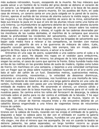 más	 audaces	 retroceden,	 huyen,	 escapando	 de	 la	 muerte.	 No	 hay	 máscara	 que
pueda	salvar	a	un	hombre	de	la	insidia	del	grisú	donde	se	detiene	el	corazón	de
un	canario.	Las	brigadas	de	socorro	vuelven	atrás,	suben	a	la	boca	de	los	pozos
llevando	en	la	mano	el	pobre	canario	muerto.	En	los	pueblos	del	Ruhr,	en	cada
casa	de	minero,	un	canario	canta	en	una	jaula	colgada	en	la	pared	de	la	cocina.
Corren,	apenas	el	aullido	de	las	sirenas	de	alarma	sutura	la	niebla	negra,	corren
las	mujeres	y	los	chiquillos	hacia	los	castillos	de	acero	de	la	mina,	estrechando
bajo	sus	brazos	la	jaula	en	la	que	el	oro	de	las	plumas	reluce	como	una	llama	en
una	linterna.	La	muchedumbre	se	aglomera	delante	de	la	boca	del	abismo	durante
noches	 y	 días;	 el	 zumbido	 de	 las	 mangas	 de	 aire	 que	 lanzan	 sobre	 los	 rostros
descompuestos	un	soplo	cálido	y	oleoso,	el	rugido	de	las	cadenas	devoradas	por
los	 mordiscos	 de	 las	 ruedas	 dentadas,	 el	 martilleo	 de	 la	 campana	 que	 anuncia
desde	 la	 profundidad	 los	 incidentes	 del	 salvamento,	 cubren	 el	 llanto	 de	 los
chiquillos	y	el	apagado	orar	de	las	mujeres.	Hacia	las	brigadas	de	salvamento	que
bajan	 cada	 media	 hora	 a	 relevar	 a	 los	 compañeros,	 se	 tienden	 cien	 manos
ofreciendo	 un	 pajarillo	 de	 oro	 a	 los	 guerreros	 de	 máscara	 de	 cobre.	 ¡Late,
pequeño	 corazón	 generoso,	 late	 fuerte,	 late	 siempre,	 late	 sin	 miedo,	 pobre
pajarito	de	Dios,	baja	a	la	tumba	oscura,	a	salvar	a	tu	dueño!
Entramos	en	una	caja	de	acero,	suspendido	a	una	cadena	como	el	cubo	a	la
garrucha	 de	 un	 pozo.	 He	 dejado	 mis	 ropas	 en	 el	 vestidor	 para	 embutirme,
desnudo,	en	una	escafandra	de	minero;	los	pliegues	de	la	tela	alquitranada	que
siegan	las	axilas,	el	casco	de	cuero	que	oprime	la	frente.	Estoy	hundido	hasta	más
arriba	de	las	rodillas	en	las	grandes	botas	de	suela	de	madera,	rígidas	como	tubos
de	hierro.	Un	martillazo	en	una	campana,	y	bajamos	a	una	velocidad	vertiginosa
con	un	fragor	que	se	aleja	sobre	nuestras	cabezas	huyendo	en	el	aire	como	una
bala	 al	 salir	 del	 cañón	 de	 un	 fusil.	 Doscientos	 metros,	 cuatrocientos	 metros,
seiscientos	 cincuenta,	 novecientos…;	 la	 velocidad	 de	 descenso	 disminuye,
entramos	en	una	zona	tibia	y	silenciosa,	nos	hundimos	en	una	montaña	de	lana.
Mil	metros;	delante	de	nosotros	se	abre	una	larga	galería	abierta	en	una	veta	de
carbón,	iluminada	cada	cien	pasos	por	una	lámpara	de	seguridad	suspendida	del
entibado	 de	 madera	 del	 techo.	 Me	 sorprende	 el	 silencio,	 un	 silencio	 cálido	 y
negro;	las	voces	caen	de	la	boca	muertas,	hay	que	inclinarse	para	oír	el	ruido	de
nuestros	pasos.	Se	camina	entre	los	raíles	del	ferrocarril	de	descarga,	la	cabeza
inclinada	sobre	el	pecho	para	no	dar	contra	el	entibado	de	la	bóveda.	Y	he	aquí
que,	 de	 repente,	 en	 un	 recodo	 de	 la	 galería,	 algo	 se	 mueve,	 lejano	 en	 la
oscuridad,	 un	 chocar	 de	 hierros	 resuena	 triste	 y	 me	 encuentro	 delante	 de	 un
caballito	 blanco	 enganchado	 a	 una	 hilera	 de	 vagonetas	 llenas	 de	 relucientes
trozos	de	carbón.
Pequeño,	flaco,	la	boca	llena	de	espuma	negruzca,	el	pobre	animal	avanza	a
tirones	con	la	cabeza	de	través,	rozando	con	las	orejas	el	entibado	de	la	galería,
dispuesto	 a	 bajar	 la	 cabeza	 para	 no	 dar	 con	 el	 entibado	 en	 cuanto	 la	 galería
descienda.	Sus	ojos	están	muertos,	lácteos,	hundidos	en	una	gran	mancha	roja.
«Es	ciego»,	me	dice	el	minero	que	me	acompaña.	De	vez	en	cuando	la	bestia	se
detiene	 jadeante,	 las	 patas	 separadas;	 un	 largo	 temblor	 recorre	 su	 grupa
sudorosa,	estriada	de	cicatrices.	Los	caballos	de	las	minas	trabajan	toda	la	vida	en
 