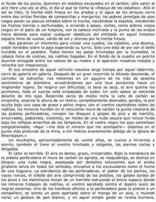 el	fondo	de	los	pozos,	duermen	en	establos	excavados	en	el	carbón;	sólo	salen	al
aire	libre	una	vez	al	año,	el	día	al	que	se	llama	la	«Pascua	de	los	caballos».	Allá	el
sol	 es	 tibio,	 la	 hierba	 está	 fresca	 en	 los	 prados	 y	 el	 agua	 de	 los	 arroyos	 corre
entre	dos	orillas	floridas	de	campanillas	y	margarita;	los	pobres	jamelgos	de	ojos
ciegos	pasan	su	pascua	echados	sobre	la	hierba,	rascándose	la	espalda,	mordiendo
las	hojitas	tiernas	y	perfumadas,	o	errando	a	pasos,	cortos,	como	pobres	viejos
ciegos	en	el	patio	de	un	hospicio,	con	la	cabeza	inclinada	y	la	punta	de	las	orejas
hacia	 delante	 para	 espiar	 cualquier	 obstáculo	 del	 entibado	 en	 aquel	 inmenso
espacio	lleno	de	vuelos,	cálido	de	sol	y	oloroso	por	la	hierba	fresca.
Nos	paramos	un	momento	para	visitar	una	cuadra;	los	caballos,	una	docena,
están	tendidos	sobre	la	paja	esperando	su	turno.	Sólo	uno	está	de	pie	con	el	belfo
hundido	 en	 el	 pesebre.	 Todos	 tienen	 las	 patas	 hinchadas	 por	 la	 humedad,	 la
cabeza	llena	de	costras,	las	rodillas	llagadas.	En	el	fondo	de	la	cuadra	un	potrito
duerme	encogido	entre	los	cascos	de	su	madre	y	al	aparecer	nosotros	resopla	y
relincha	con	impaciencia.
El	 eco	 siniestro	 de	 aquel	 relincho	 resuena	 largo	 tiempo	 por	 aquel	 laberinto,
corre	de	galería	en	galería.	Después	de	un	gran	recorrido	la	bóveda	desciende,	el
corredor	 se	 estrecha;	 nos	 metemos	 en	 un	 agujero	 de	 no	 más	 de	 sesenta
centímetros	 de	 diámetro,	 arrastrándonos	 por	 una	 leve	 pendiente	 hacia	 un
resplandor	 lejano.	 Se	 respira	 con	 dificultad,	 la	 boca	 se	 seca,	 el	 aire	 quema	 los
pulmones,	 todo	 el	 cuerpo	 está	 empapado	 de	 sudor.	 Un	 velo	 opaco	 se	 extiende
delante	 de	 mis	 ojos.	 Recorrida	 cerca	 de	 media	 milla	 la	 veta	 de	 carbón	 se
ensancha,	alcanza	la	altura	de	un	metro;	completamente	desnudos,	gordos,	la	piel
oculta	bajo	una	capa	de	grasa	y	polvo	negro,	con	el	vientre	cayéndoles	sobre	las
rodillas,	los	mineros	hunden	en	el	reluciente	muro	de	carbón	la	punta	rotatoria	de
las	 pistolas	 perforadoras,	 rompen	 los	 bloques	 a	 golpes	 de	 pico	 y	 de	 martillo,
encorvados,	jadeantes,	violentos,	en	medio	de	una	nube	oscura	que	reluce	lívida
bajo	los	reflejos	amarillos	de	las	lámparas.	En	el	rostro	negro	los	ojos	centellean
congestionados.	 «Aquí	 —me	 dice	 el	 minero	 que	 me	 acompaña—	 estamos	 en	 el
punto	más	profundo	de	la	mina,	a	mil	metros	exactamente	debajo	de	la	iglesia	de
Rheinbaben.»
Un	 muchacho,	 aproximadamente	 de	 veinte	 años,	 se	 vuelve	 a	 mirarnos	 y
sonríe;	 también	 él	 tiene	 el	 vientre	 hinchado	 y	 colgante,	 las	 piernas	 cortas	 y
delgadas.
El	calor	es	terrible.	El	aire	es	denso,	graso,	irrespirable.	Bajo	la	mordedura	de
la	pistola	perforadora	el	muro	de	carbón	se	agrieta,	se	resquebraja,	se	desliza	en
bloque;	 una	 nube	 negra,	 asaeteada	 por	 destellos	 relucientes	 que	 el	 ariete
giratorio	lanza	en	todos	los	sentidos,	envuelve	a	los	excavadores	como	el	humo
de	una	hoguera.	La	estridencia	de	las	perforadoras,	el	jadear	de	los	pechos,	las
voces	roncas,	el	silbido	del	aire	comprimido	de	las	pistolas,	los	golpes	sordos	de
los	picos	y	los	martillazos	llenan	de	un	horrible	estruendo	el	breve	espacio	donde
los	 mineros	 trabajan	 de	 rodillas,	 el	 vientre	 apretado	 contra	 el	 áspero	 suelo	 de
negras	escamas.	Uno	de	los	hombres	afectos	a	la	perforadora	pasa	la	pistola	a	un
compañero,	 se	 sienta	 un	 poco	 apartado	 sobre	 el	 mango	 de	 un	 pico,	 y	 muerde
voraz	 un	 pedazo	 de	 pan	 blanco;	 y	 en	 aquel	 simple	 gesto	 se	 revela	 humano,
 