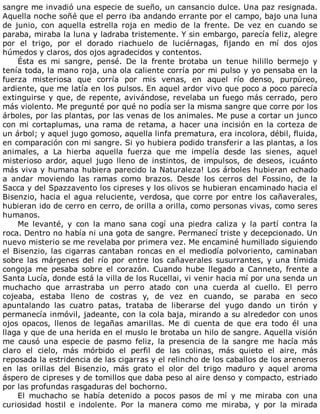 sangre	me	invadió	una	especie	de	sueño,	un	cansancio	dulce.	Una	paz	resignada.
Aquella	noche	soñé	que	el	perro	iba	andando	errante	por	el	campo,	bajo	una	luna
de	 junio,	 con	 aquella	 estrella	 roja	 en	 medio	 de	 la	 frente.	 De	 vez	 en	 cuando	 se
paraba,	miraba	la	luna	y	ladraba	tristemente.	Y	sin	embargo,	parecía	feliz,	alegre
por	 el	 trigo,	 por	 el	 dorado	 riachuelo	 de	 luciérnagas,	 fijando	 en	 mí	 dos	 ojos
húmedos	y	claros,	dos	ojos	agradecidos	y	contentos.
Ésta	 es	 mi	 sangre,	 pensé.	 De	 la	 frente	 brotaba	 un	 tenue	 hilillo	 bermejo	 y
tenía	toda,	la	mano	roja,	una	ola	caliente	corría	por	mi	pulso	y	yo	pensaba	en	la
fuerza	 misteriosa	 que	 corría	 por	 mis	 venas,	 en	 aquel	 río	 denso,	 purpúreo,
ardiente,	que	me	latía	en	los	pulsos.	En	aquel	ardor	vivo	que	poco	a	poco	parecía
extinguirse	y	que,	de	repente,	avivándose,	revelaba	un	fuego	más	cerrado,	pero
más	violento.	Me	pregunté	por	qué	no	podía	ser	la	misma	sangre	que	corre	por	los
árboles,	por	las	plantas,	por	las	venas	de	los	animales.	Me	puse	a	cortar	un	junco
con	mi	cortaplumas,	una	rama	de	retama,	a	hacer	una	incisión	en	la	corteza	de
un	árbol;	y	aquel	jugo	gomoso,	aquella	linfa	prematura,	era	incolora,	débil,	fluida,
en	comparación	con	mi	sangre.	Si	yo	hubiera	podido	transferir	a	las	plantas,	a	los
animales,	 a	 La	 hierba	 aquella	 fuerza	 que	 me	 impelía	 desde	 las	 sienes,	 aquel
misterioso	 ardor,	 aquel	 jugo	 lleno	 de	 instintos,	 de	 impulsos,	 de	 deseos,	 ¡cuánto
más	viva	y	humana	hubiera	parecido	la	Naturaleza!	Los	árboles	hubieran	echado
a	 andar	 moviendo	 las	 ramas	 como	 brazos.	 Desde	 los	 cerros	 del	 Fossino,	 de	 la
Sacca	y	del	Spazzavento	los	cipreses	y	los	olivos	se	hubieran	encaminado	hacia	el
Bisenzio,	hacia	el	agua	reluciente,	verdosa,	que	corre	por	entre	los	cañaverales,
hubieran	ido	de	cerro	en	cerro,	de	orilla	a	orilla,	como	personas	vivas,	como	seres
humanos.
Me	 levanté,	 y	 con	 la	 mano	 sana	 cogí	 una	 piedra	 caliza	 y	 la	 partí	 contra	 la
roca.	Dentro	no	había	ni	una	gota	de	sangre.	Permanecí	triste	y	decepcionado.	Un
nuevo	misterio	se	me	revelaba	por	primera	vez.	Me	encaminé	humillado	siguiendo
el	Bisenzio,	las	cigarras	cantaban	roncas	en	el	mediodía	polvoriento,	caminaban
sobre	 las	 márgenes	 del	 río	 por	 entre	 los	 cañaverales	 susurrantes,	 y	 una	 tímida
congoja	 me	 pesaba	 sobre	 el	 corazón.	 Cuando	 hube	 llegado	 a	 Canneto,	 frente	 a
Santa	Lucía,	donde	está	la	villa	de	los	Rucellai,	vi	venir	hacia	mí	por	una	senda	un
muchacho	 que	 arrastraba	 un	 perro	 atado	 con	 una	 cuerda	 al	 cuello.	 El	 perro
cojeaba,	 estaba	 lleno	 de	 costras	 y,	 de	 vez	 en	 cuando,	 se	 paraba	 en	 seco
apuntalando	 las	 cuatro	 patas,	 trataba	 de	 liberarse	 del	 yugo	 dando	 un	 tirón	 y
permanecía	inmóvil,	jadeante,	con	la	cola	baja,	mirando	a	su	alrededor	con	unos
ojos	 opacos,	 llenos	 de	 legañas	 amarillas.	 Me	 di	 cuenta	 de	 que	 era	 todo	 él	 una
llaga	y	que	de	una	herida	en	el	muslo	le	brotaba	un	hilo	de	sangre.	Aquella	visión
me	 causó	 una	 especie	 de	 pasmo	 feliz,	 la	 presencia	 de	 la	 sangre	 me	 hacía	 más
claro	 el	 cielo,	 más	 mórbido	 el	 perfil	 de	 las	 colinas,	 más	 quieto	 el	 aire,	 más
reposada	la	estridencia	de	las	cigarras	y	el	relincho	de	los	caballos	de	los	areneros
en	 las	 orillas	 del	 Bisenzio,	 más	 grato	 el	 olor	 del	 trigo	 maduro	 y	 aquel	 aroma
áspero	de	cipreses	y	de	tomillos	que	daba	peso	al	aire	denso	y	compacto,	estriado
por	las	profundas	rasgaduras	del	bochorno.
El	 muchacho	 se	 había	 detenido	 a	 pocos	 pasos	 de	 mí	 y	 me	 miraba	 con	 una
curiosidad	 hostil	 e	 indolente.	 Por	 la	 manera	 como	 me	 miraba,	 y	 por	 la	 mirada
 
