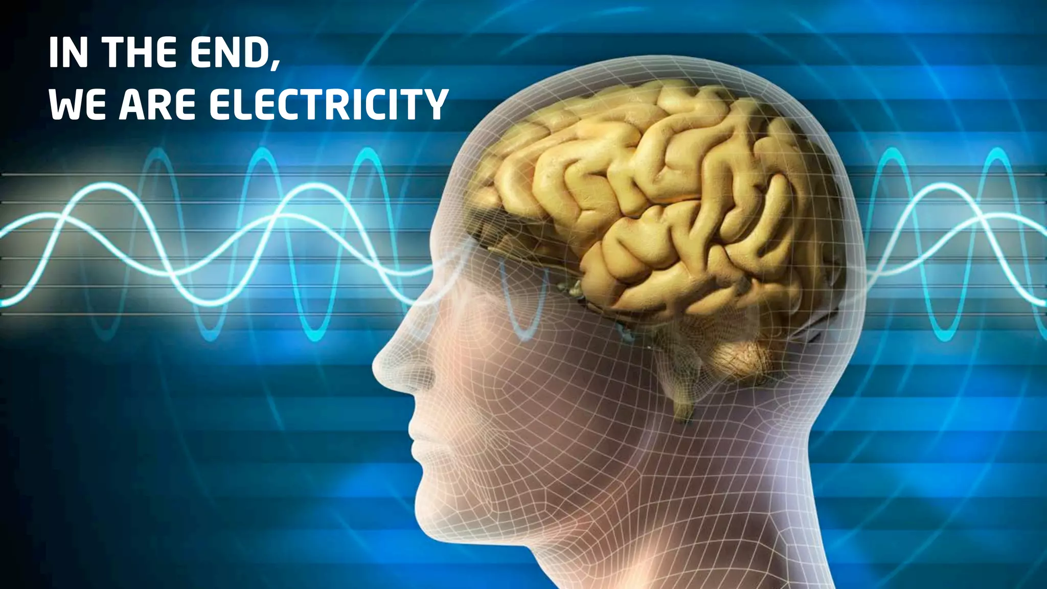IN THE END,
WE ARE ELECTRICITY

 