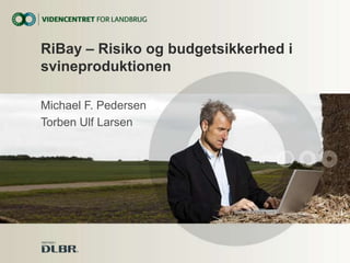 RiBay – Risiko og budgetsikkerhed i
svineproduktionen
Michael F. Pedersen
Torben Ulf Larsen

 