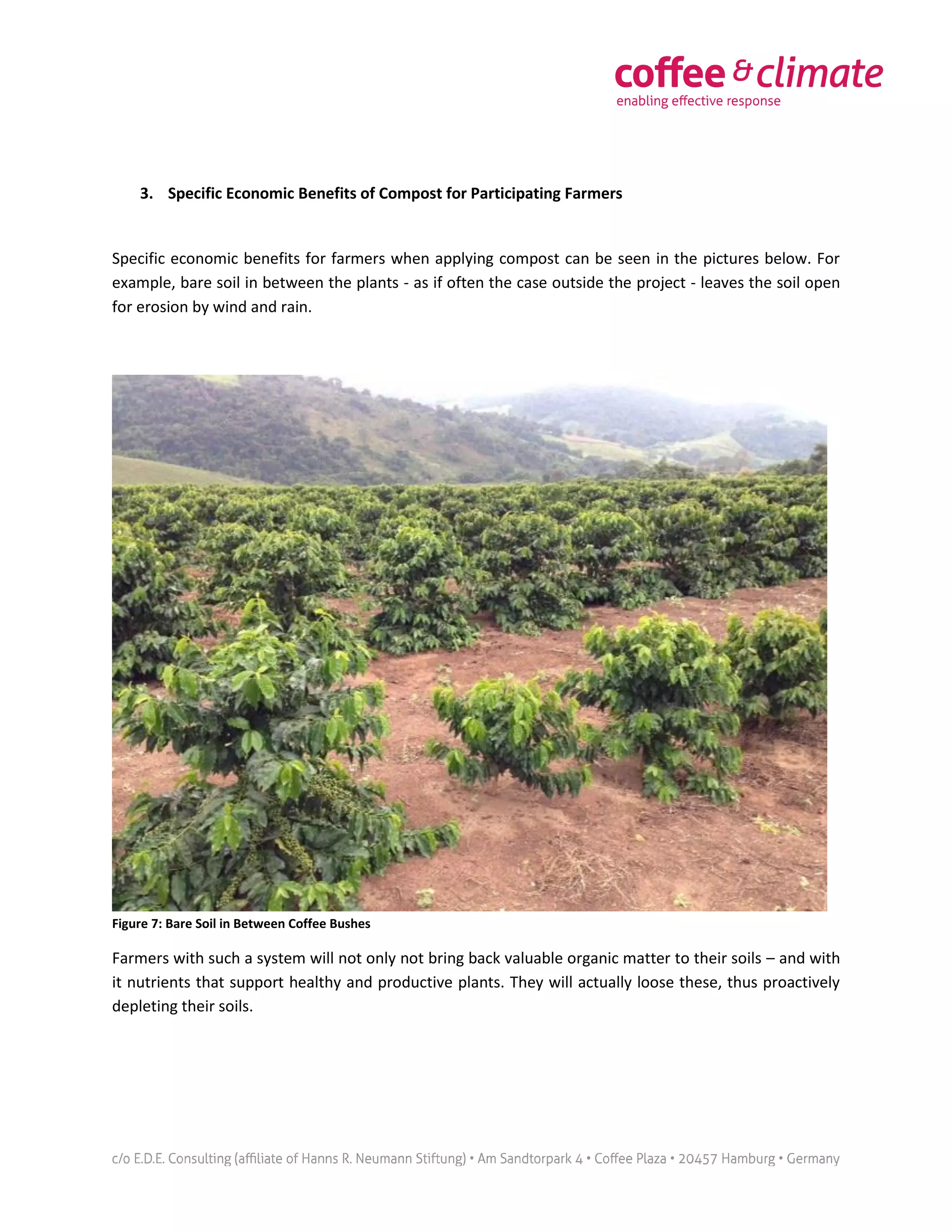 3. Specific Economic Benefits of Compost for Participating Farmers
Specific economic benefits for farmers when applying compost can be seen in the pictures below. For
example, bare soil in between the plants - as if often the case outside the project - leaves the soil open
for erosion by wind and rain.
Figure 7: Bare Soil in Between Coffee Bushes
Farmers with such a system will not only not bring back valuable organic matter to their soils – and with
it nutrients that support healthy and productive plants. They will actually loose these, thus proactively
depleting their soils.
 