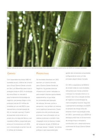 Bambu: culturas de ciclo curto alimentam usina de biomassa. Este cultivo faz parte dos investimentos da QGGN em energias renováveis

Cimento

Perspectivas

gestão das concessões conquistadas,
configurando-se como um dos
principais players desse mercado.

Com capacidade de produzir 500 mil

Os resultados favoráveis em 2012

toneladas anuais, a fábrica de cimento

apontam um cenário otimista

que o Grupo Queiroz Galvão constrói

para a Queiroz Galvão Gestão de

Em 2013, a expectativa da QGGN é

em São Luís (Maranhão) deve iniciar a

Negócios. As grandes obras de

de ampliar todas as suas atividades,

produção ainda em 2013. A introdução

infraestrutura a serem realizadas no

reforçando suas marcas, produtos

da marca Bravo no mercado é

país ensejam diversas oportunidades,

e serviços no mercado interno e no

peça fundamental da estratégia de

especialmente no que tange

exterior. Isso inclui a atuação da área

negócios, que planeja chegar a uma

às concessões para operação

de negócios na diversificação da

produção total de 8,5 milhões de

de rodovias, ferrovias, portos e

matriz energética nacional. Seguindo

toneladas por ano até 2022 (o que

aeroportos, mas também em setores

o planejamento estratégico da QGER,

representaria uma participação de

como logística e saneamento. Esses

os parques de energia eólica da

8% no mercado nacional). O plano

projetos de vulto contribuirão para

empresa iniciam sua produção ainda

de expansão conta ainda com o

promover maior articulação com as

em 2013 – permitindo que a QGGN se

projeto de uma segunda fábrica, a ser

cadeias produtivas e também mais

destaque ainda mais no fornecimento

instalada na Bahia, programada para

integração entre os diversos modais

de energia limpa e renovável e

entrar em funcionamento em 2016,

de transporte do país. A QGGN vai

contribuindo com o desenvolvimento

com uma produção anual de mais de

participar dessas “rodadas” de ofertas

sustentável do Grupo Queiroz Galvão

2 milhões de toneladas.

públicas e será responsável pela

e do país.
43

 