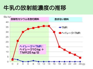 牛乳の放射能濃度の推移
(Bq/kg)

放射性セシウムを含む飼料

含まない飼料

40
35

TMR

30

へイレージ+TMR

25
20

ヘイレージ＋TMR：
ヘイレージ10 kg ＋
ＴＭＲ25 kg/日

15
10
5
0
0

2

4

6

8

10

12

14

16

18

20

22

24

28 (日)

 