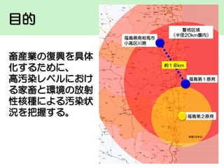 目的
福島県南相馬市
小高区川房

畜産業の復興を具体
化するために、
高汚染レベルにおけ
る家畜と環境の放射
性核種による汚染状
況を把握する。

警戒区域
（半径20km圏内）

約１８km
福島第１原発

福島第２原発

 