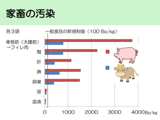 家畜の汚染
各３頭

一般食品の新規制値（100 Bq/kg）

骨格筋（大腰筋）
→フィレ肉
腎

肝
脾
卵巣
尿
血液
0

1000

2000

3000

4000 Bq/kg

 