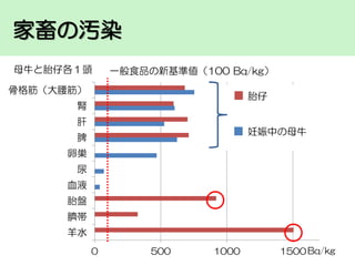 家畜の汚染
母牛と胎仔各１頭

一般食品の新基準値（100 Bq/kg）

骨格筋（大腰筋）

胎仔

腎
肝
妊娠中の母牛

脾
卵巣

尿
血液
胎盤
臍帯
羊水
0

500

1000

1500 Bq/kg

20

 