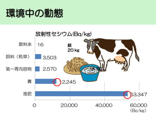 環境中の動態
放射性セシウム(Bq/kg)
飲料水

16

飼料（乾草）

3,503

第一胃内容物

餌
20 kg

2,570

糞

水 50 L

12,245

堆肥

53,347
0

20,000

40,000

60,000
（Bq/kg）

 